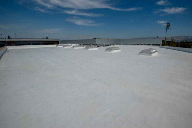 Best Skylight Installation and Repair  in Sunnyside, GA