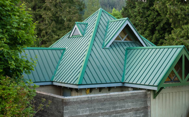 Best Roof Moss and Algae Removal  in Sunnyside, GA