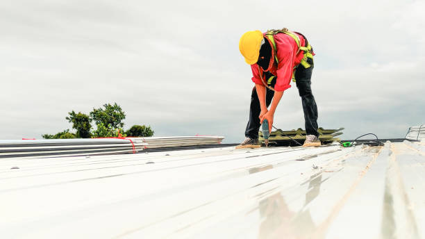 Best Rubber Roofing (EPDM, TPO)  in Sunnyside, GA