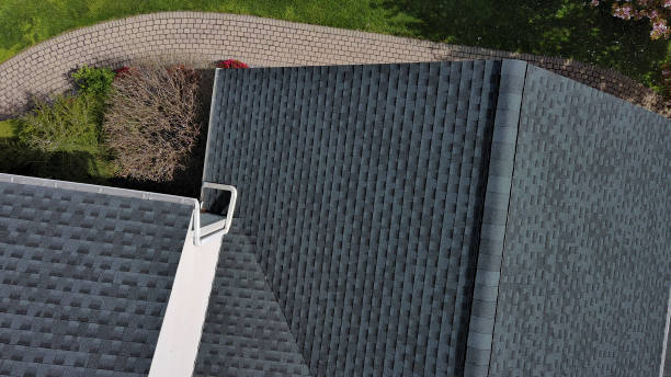 Best Skylight Installation and Repair  in Sunnyside, GA